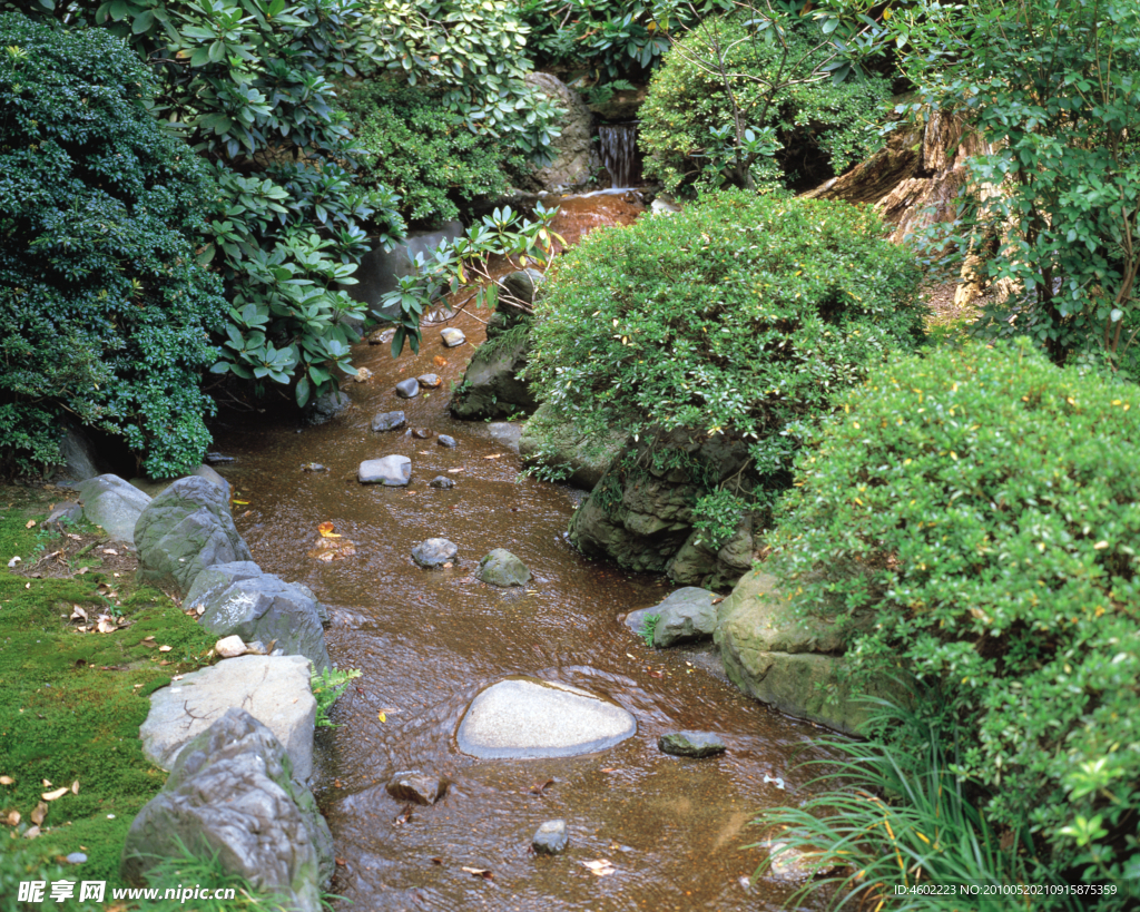 山中溪流