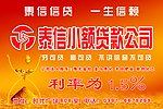 泰信小额贷款公司