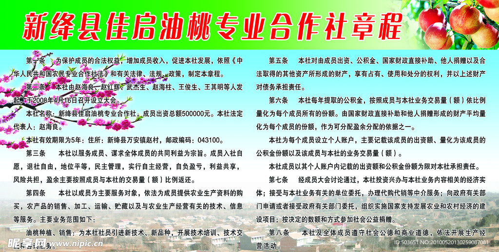 佳启油桃合作社