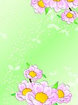 花语飘香