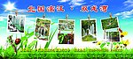 景区 宣传 自然 清新 照片夹