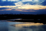 海岸湿地夕阳