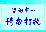 咨询中 请勿打扰