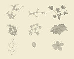 各类花笔刷