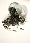 茶叶情景照