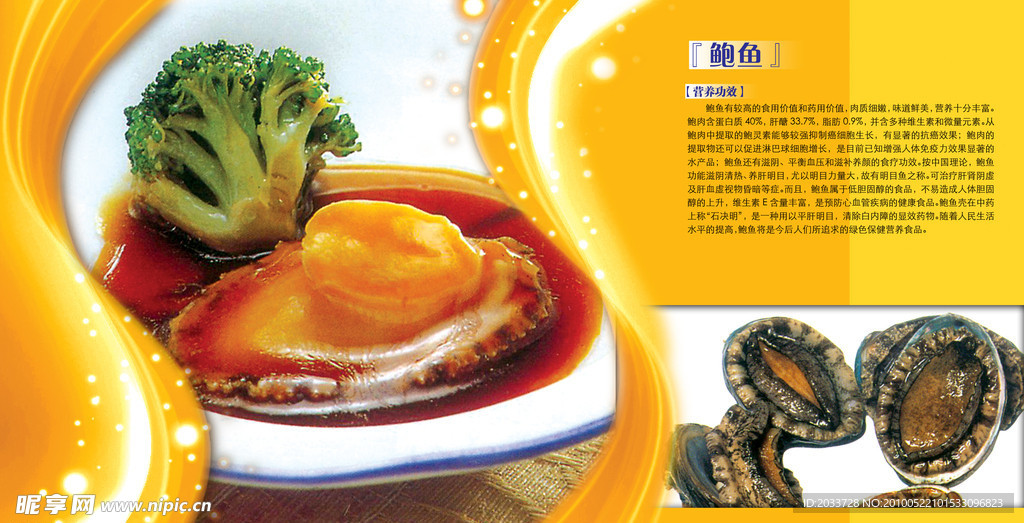 鲍鱼