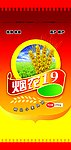 小麦种子