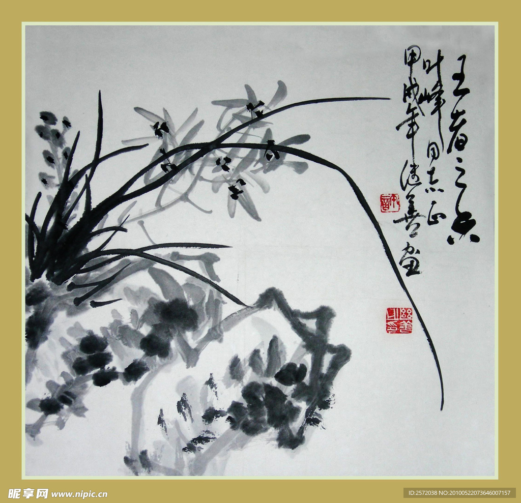 兰花图