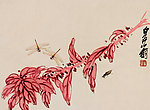青蜓爬虫