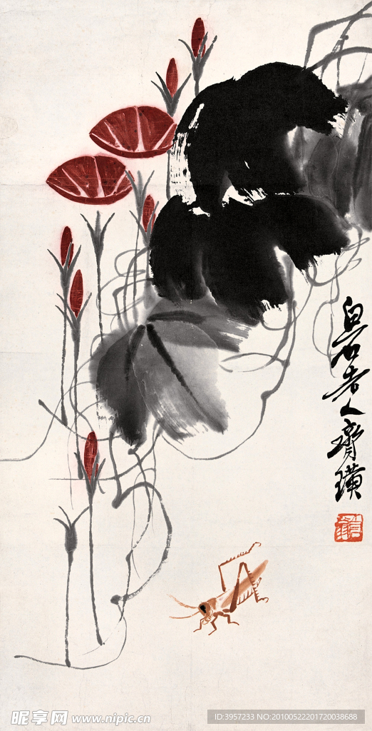 蚂蚱牵牛花