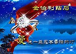 金伯利钻石