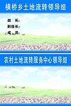 土地流转领导组