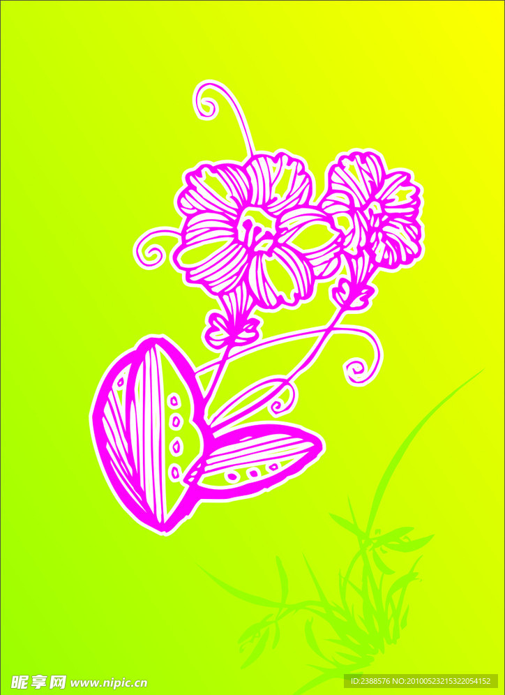 花纹