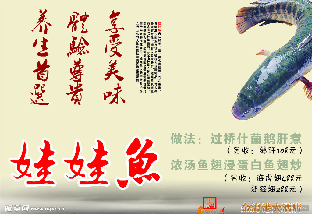 金海港娃娃鱼海报