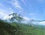 美景