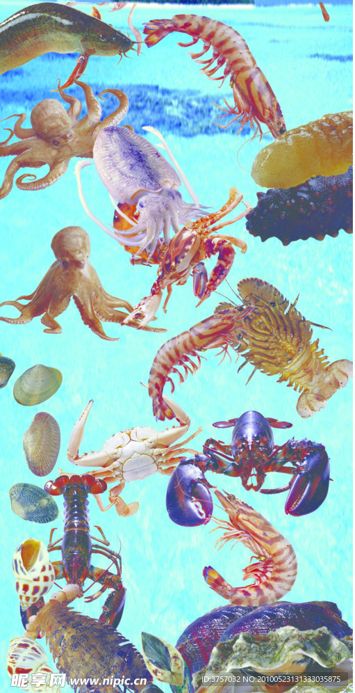 海鲜鱼