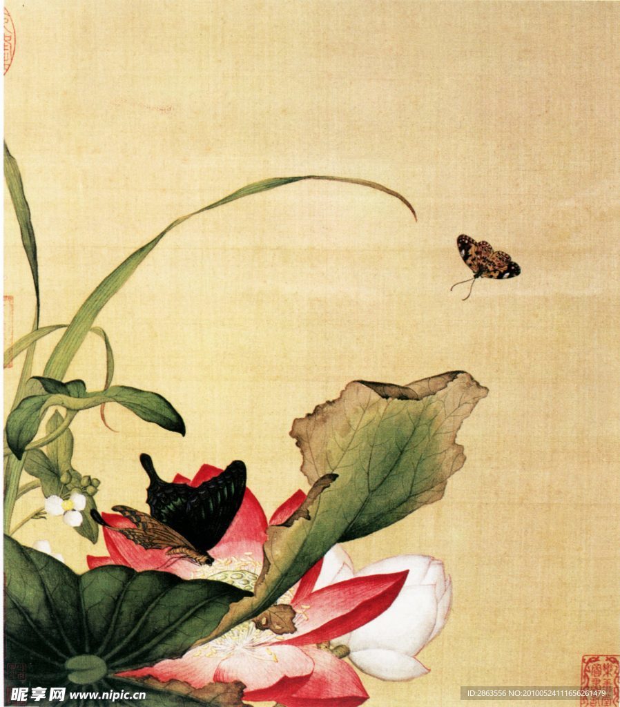 国画 荷花