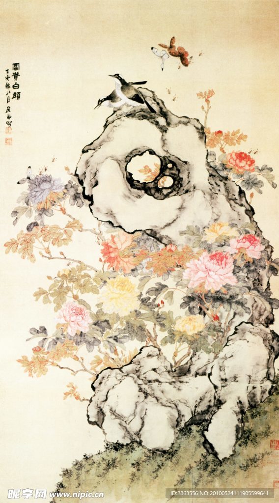 精品花鸟国画