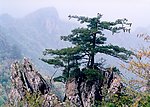 大山
