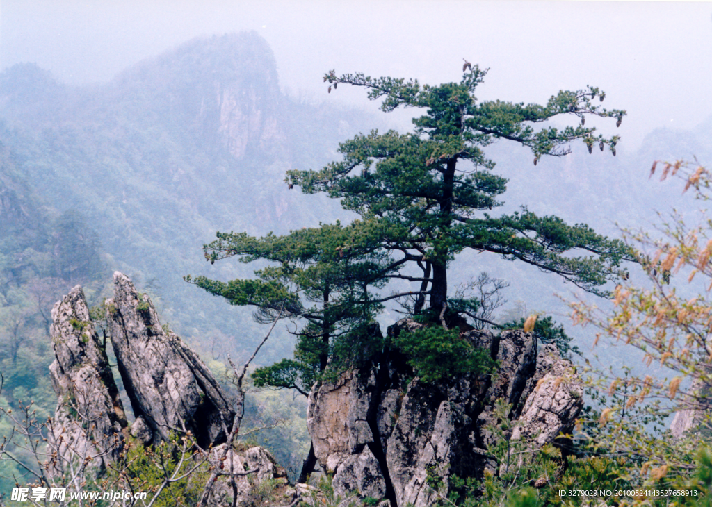 大山