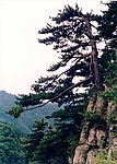 大山