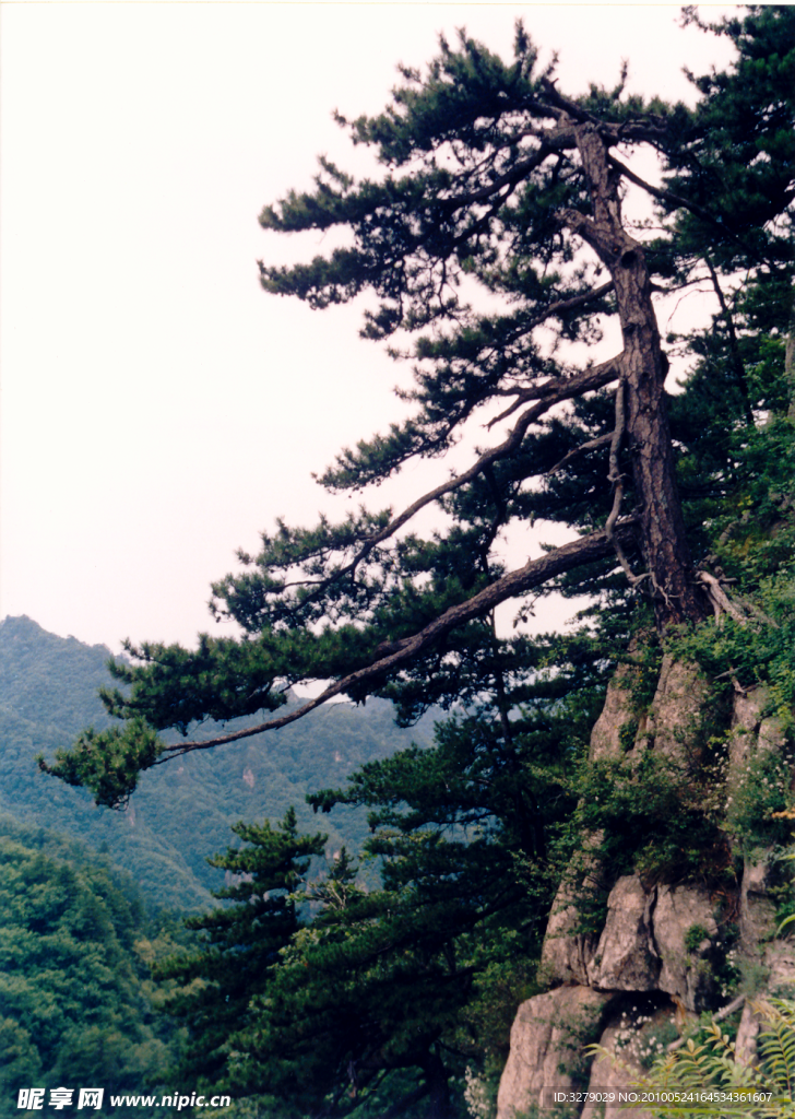 大山