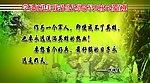 部队 军人格言