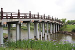 木桥