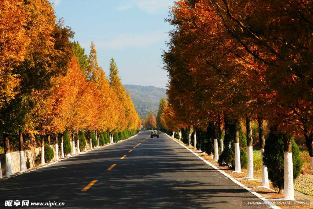 塔川秋韵道路