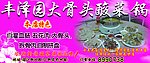 丰泽园大骨头酸菜锅