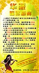 华派POP活动海报