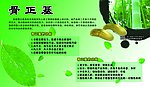 权健骨正基