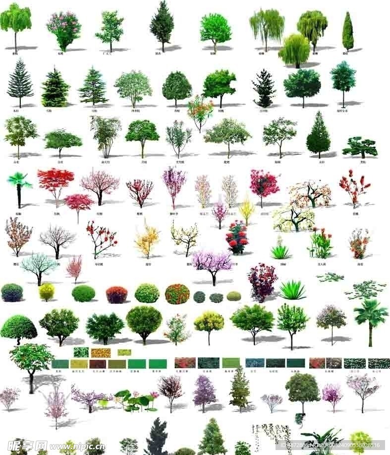 植物素材