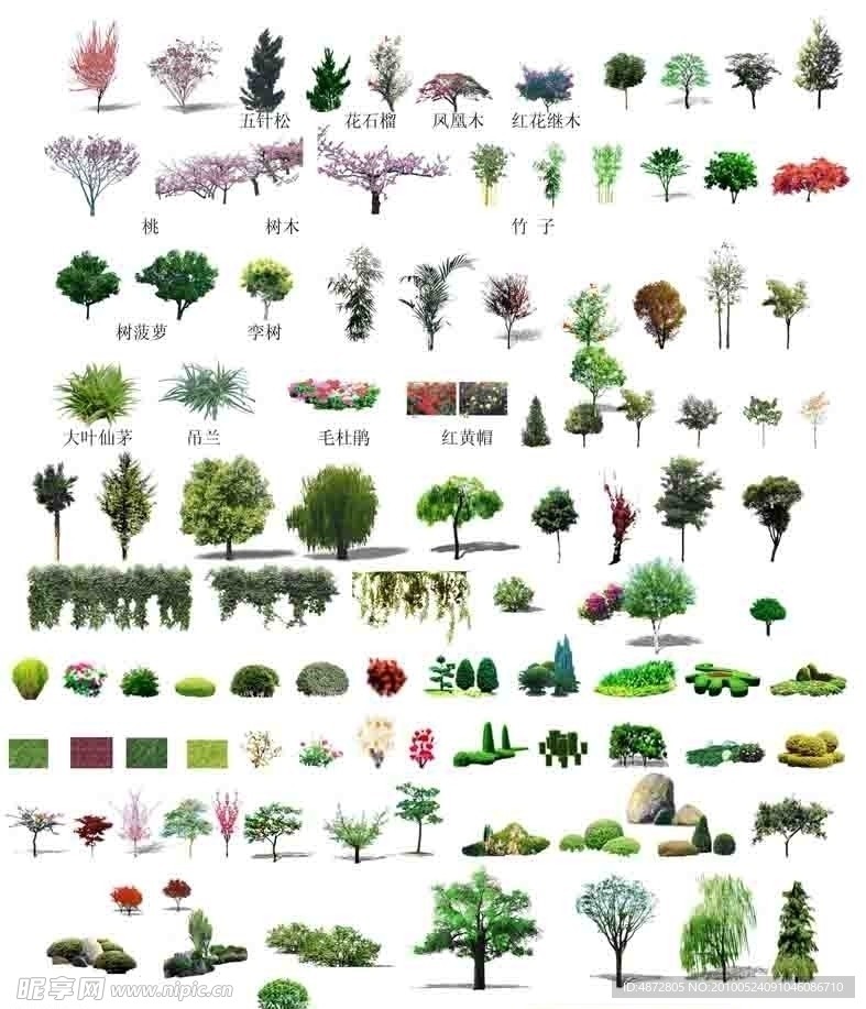 植物素材