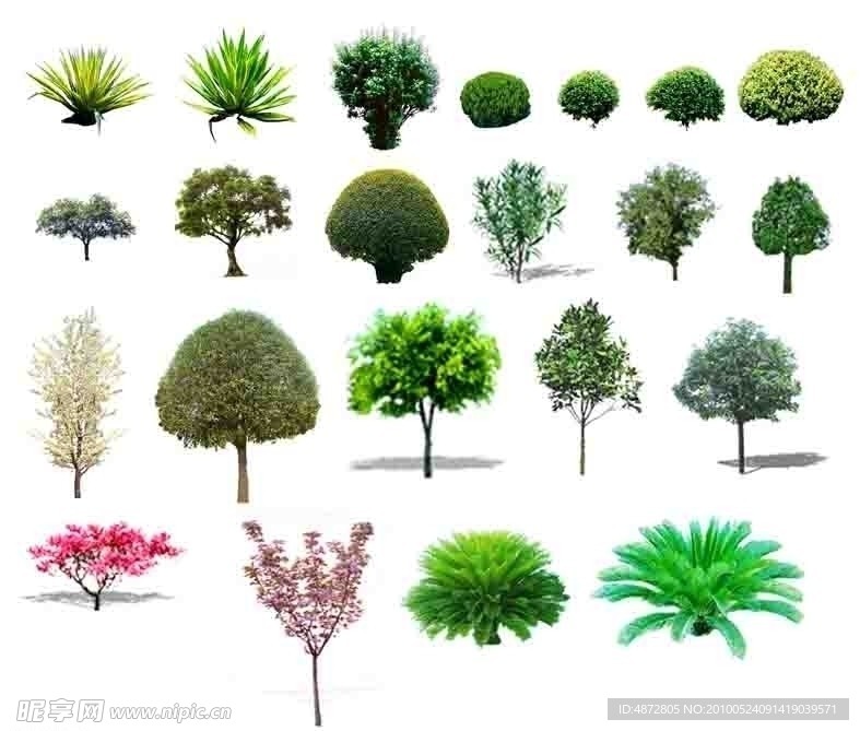 植物素材