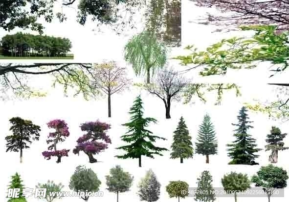 植物素材