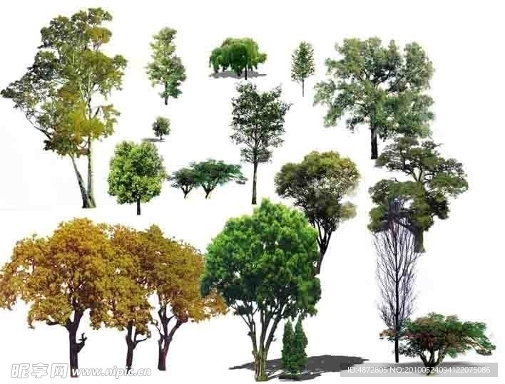 植物素材