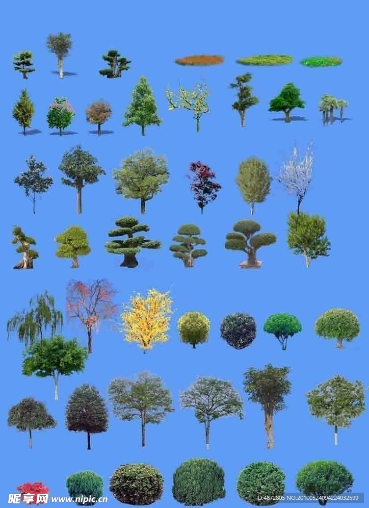植物素材