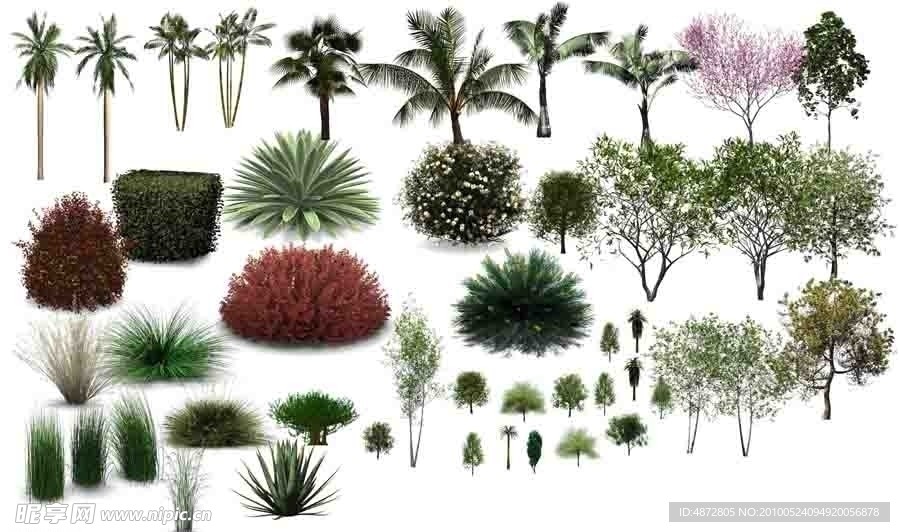 植物素材