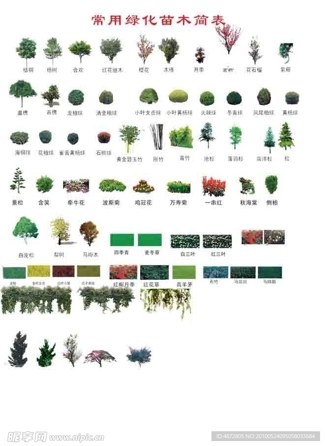 植物素材