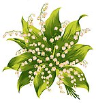 花纹 铃兰