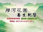 胶河花园车体广告后尾