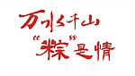 万水千山粽是情 cdr