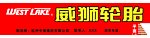 威狮轮胎门头
