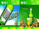 雪花啤酒 内页 画册 设计 勇闯天涯