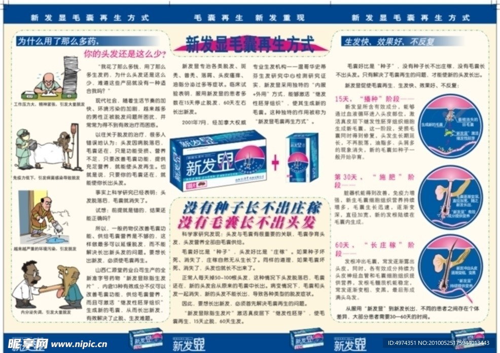 生发产品DM传单矢量设计