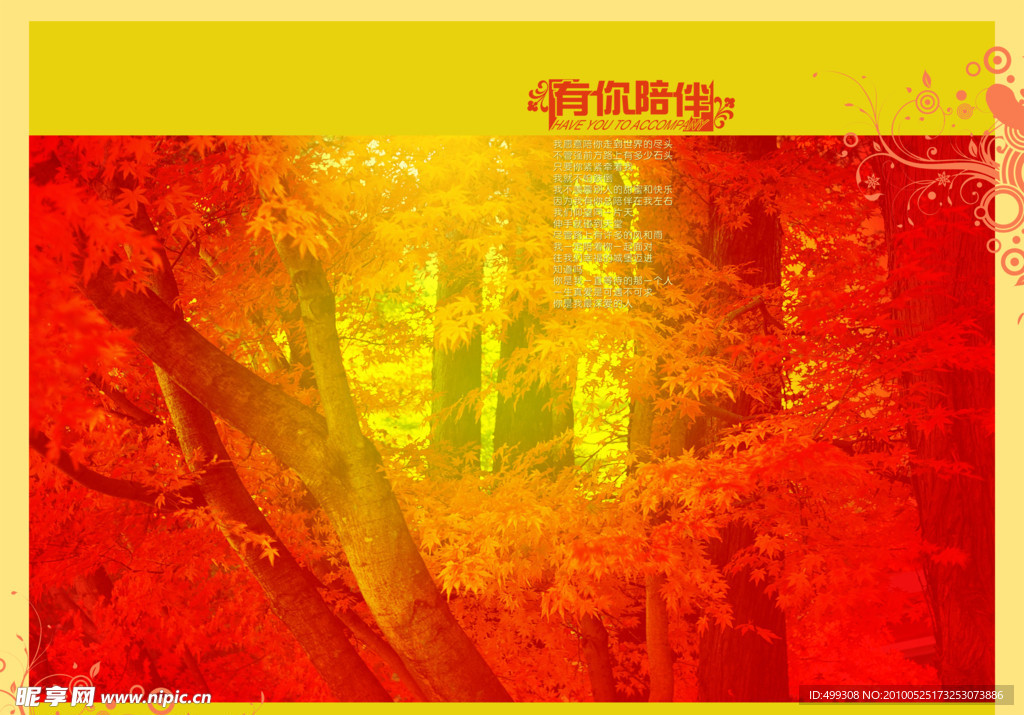 有你陪伴