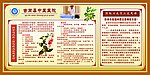 康复科展板