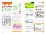 保险公司企业内部宣传杂志内芯设计