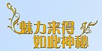 黄金字